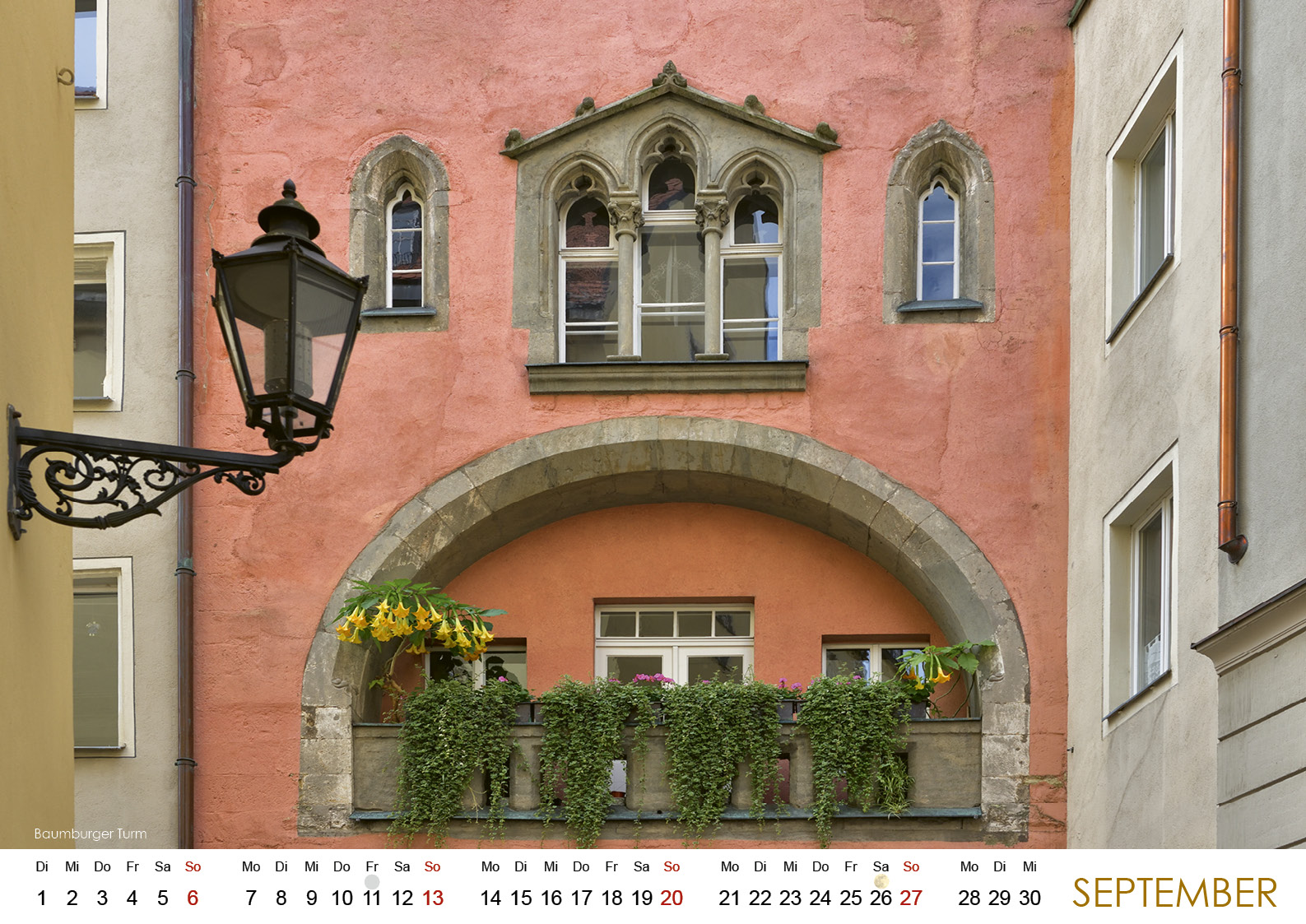 Regensburg im Licht der Jahreszeiten 202610