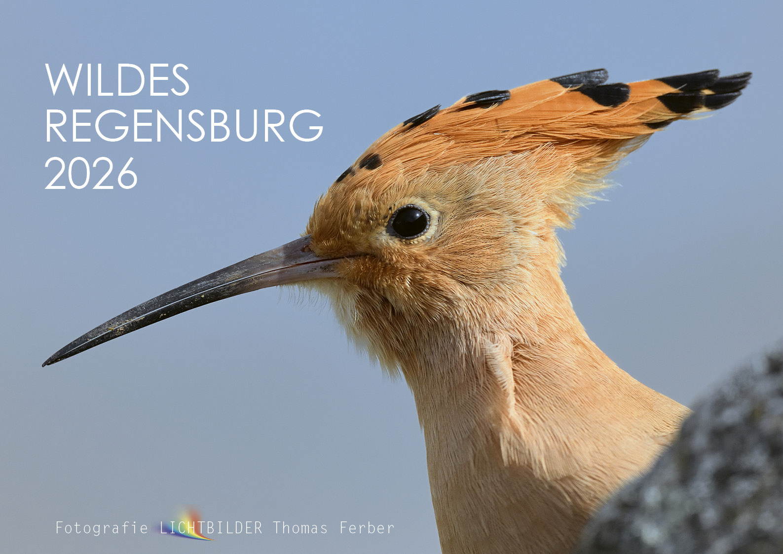 Wildes Regensburg 2026