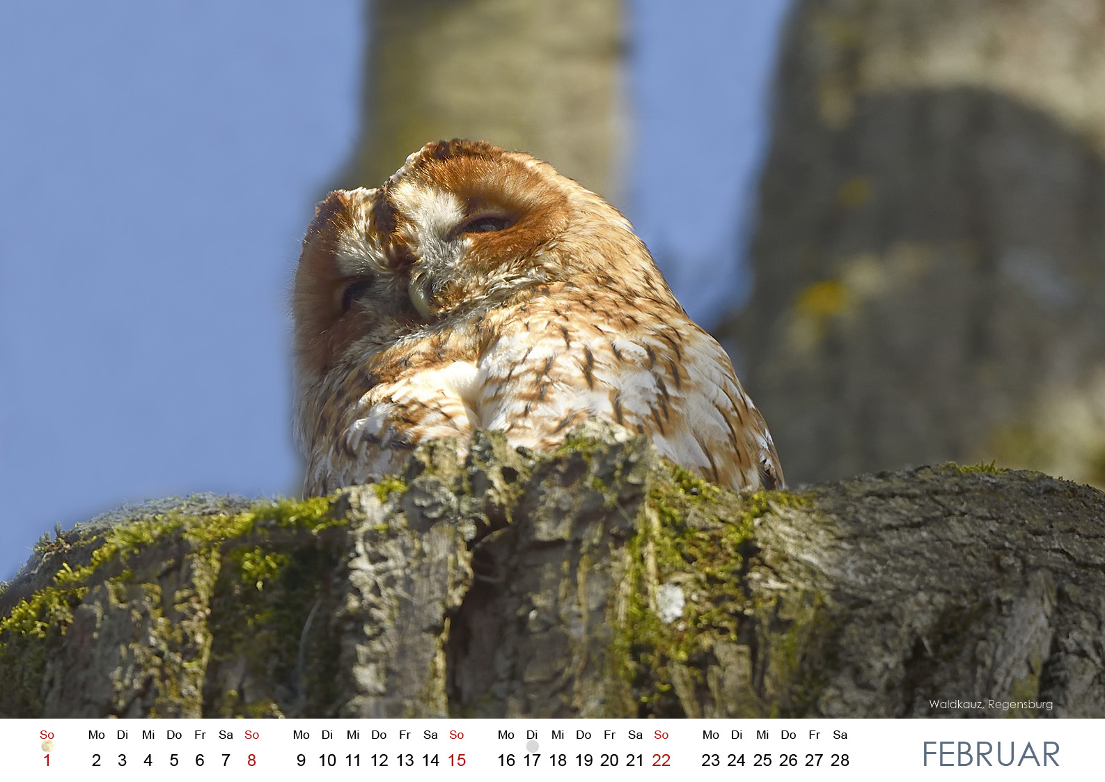 Wildes Regensburg 20263